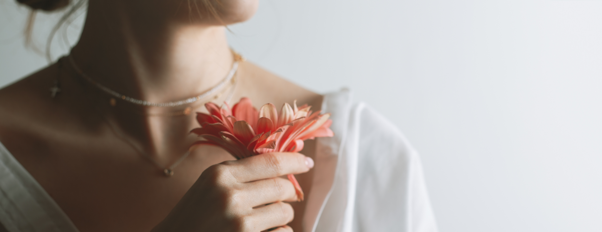 Header hoyo 2048x789